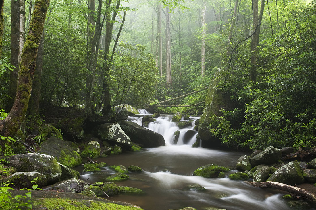 Andrews bald great smoky mountains hotsell