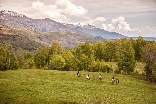 Horseback Riding in the Smokies