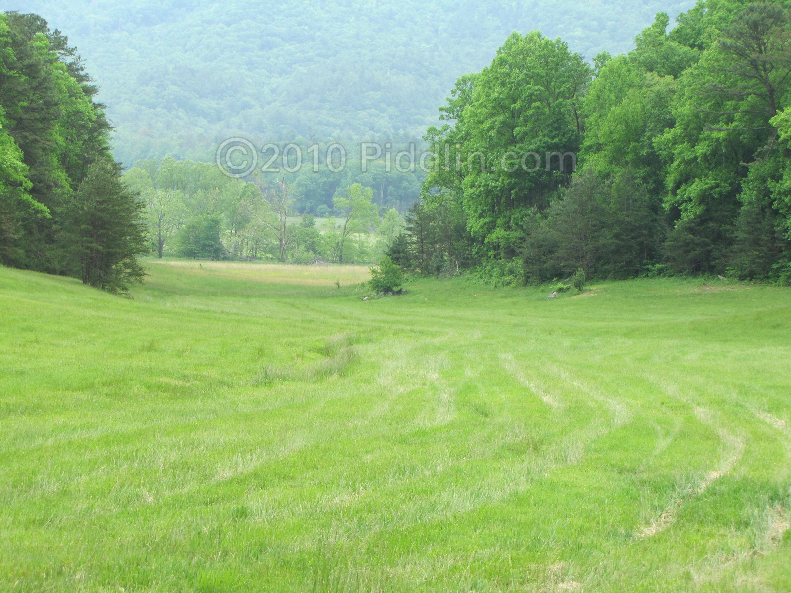 Valley in Cades Cove